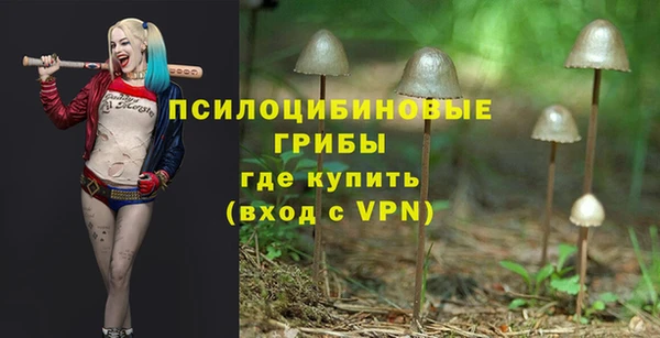 дмт Остров